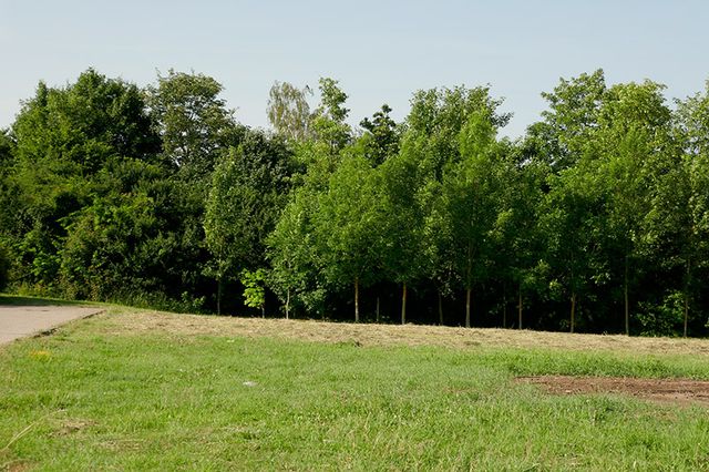 Klee Haus | Grundstücke - Sandersdorf Brehna