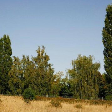 Klee Haus | Grundstücke - Dessau Kochstedt