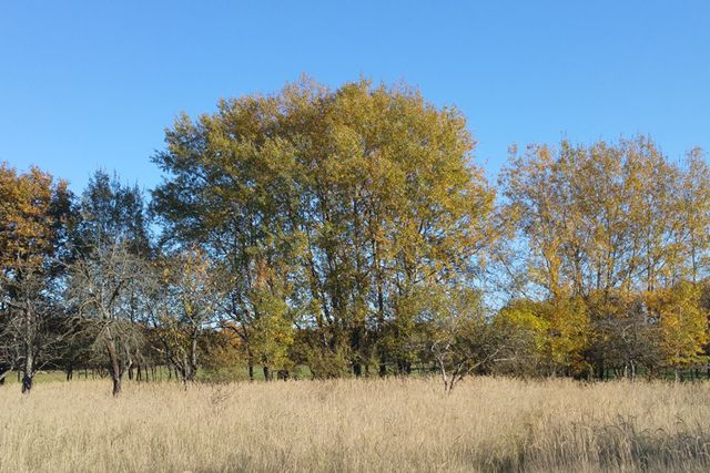 MULDESTAUSEE - KRINA